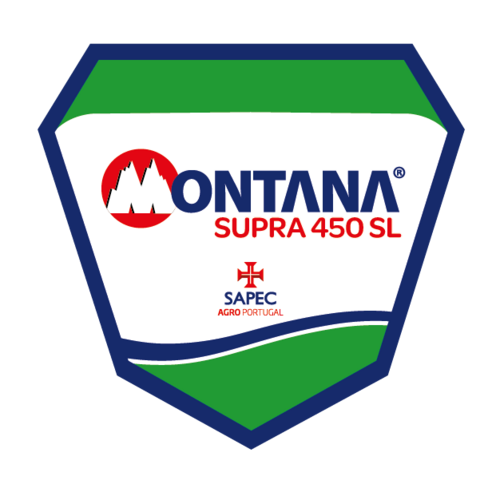 montana supra (20 l) AV 1108